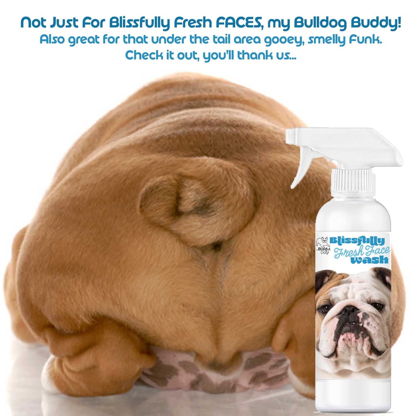 Bulldog Blissfully Fresh™ Face Wash 16 oz FACE WASH The Blissful Dog