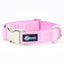 Light Pink Velvet Essential Dog Collar 1 inch wide 2 Hounds Design