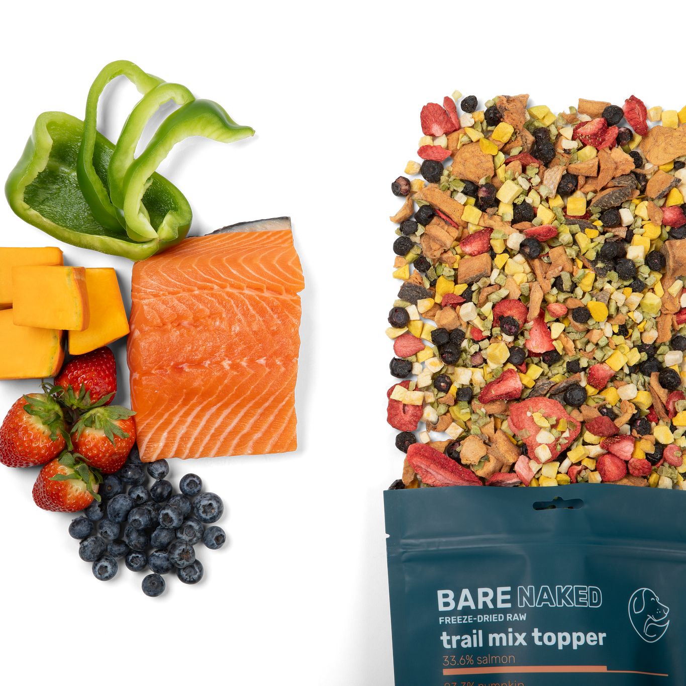 Salmon Mix Bare Naked Pet Co.