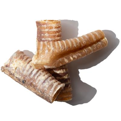 Beef Trachea Beef Mika & Sammy