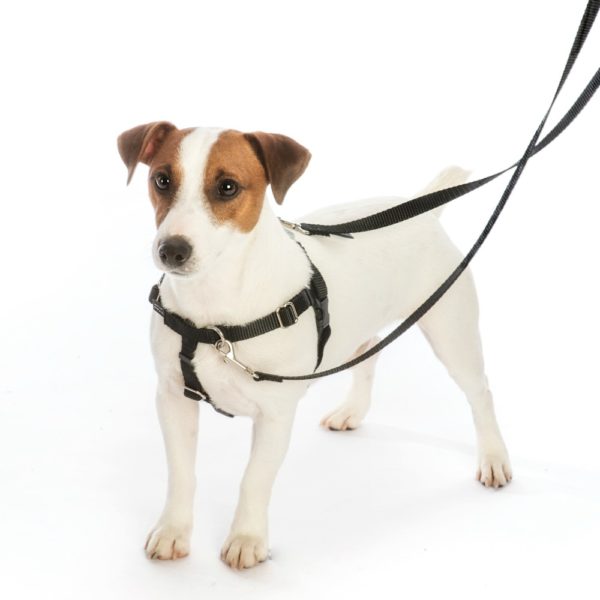 Rocky Freedom No-Pull Dog Harness – EarthStyle 2 Hounds Design