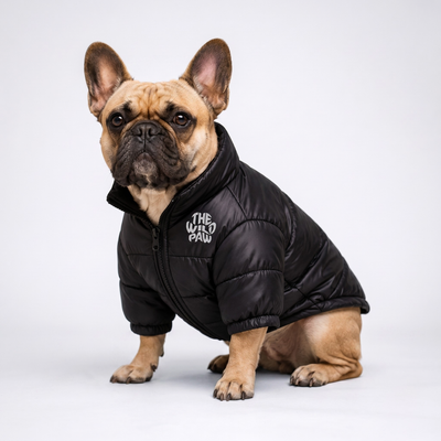 Highlander Insulated Jacket Puffer Jacket The Wild Paw