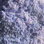 Blueberry Flavored Yak Cheese Chew - Made with REAL BLUEBERRY Puree - Single Yak Chew Chief’s Treats and Pet Supplies
