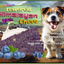 Blueberry Flavored Yak Cheese Chew - Made with REAL BLUEBERRY Puree - Single One Yak Chew Chief’s Treats and Pet Supplies