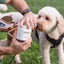 Calming Bites 100-count Jar Dog Treat Breedwise Pet Provisions