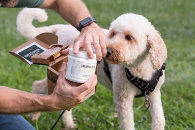 Calming Bites 100-count Jar Dog Treat Breedwise Pet Provisions