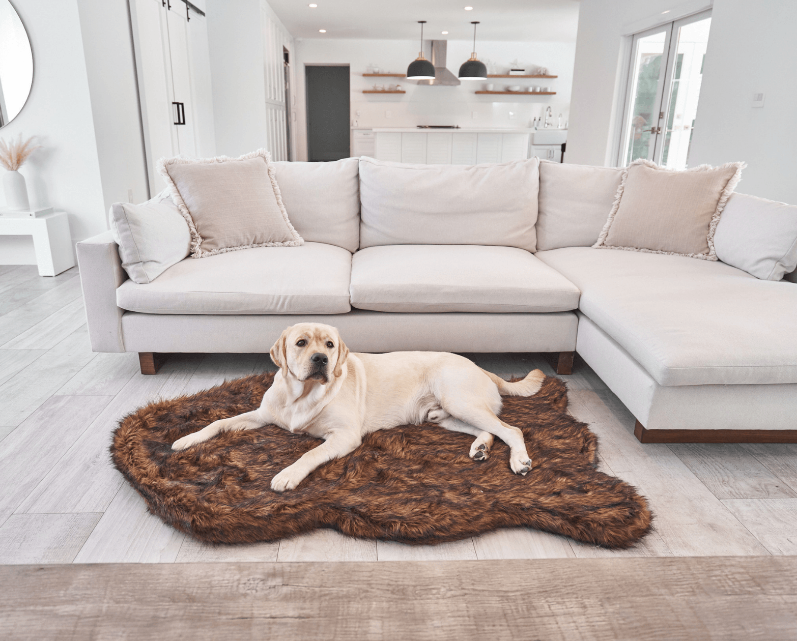 PupRug by Paw.com® Faux Fur Orthopedic Dog Bed - Curve Brown Medium (40" L x 25" W) Dog Beds Paw