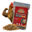 GrubFuel - Black Soldier Fly Larvae for chickens 1 lb Buff Clucks