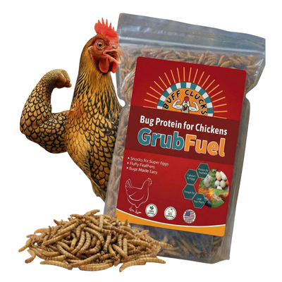GrubFuel - Black Soldier Fly Larvae for chickens 1 lb Buff Clucks