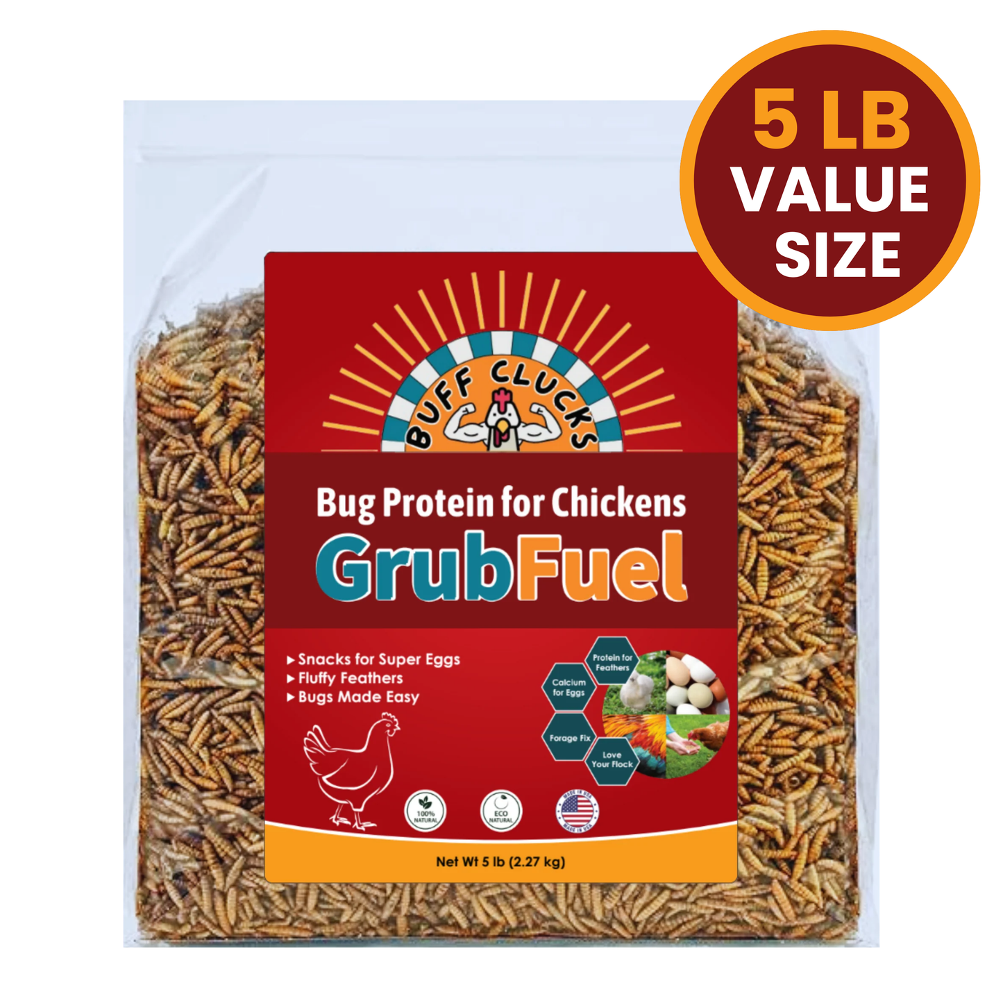 GrubFuel - Black Soldier Fly Larvae for chickens 5 lb Buff Clucks
