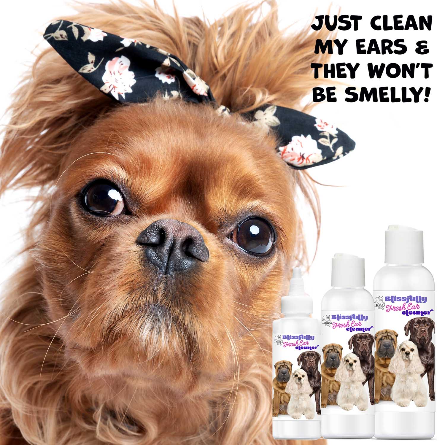 Blissfully Fresh™ Dog Ear Cleaner 16 OZ SPRAY The Blissful Dog