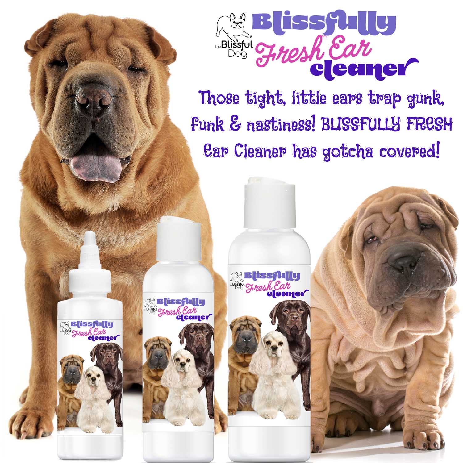 Blissfully Fresh™ Dog Ear Cleaner 8 OZ SPRAY The Blissful Dog
