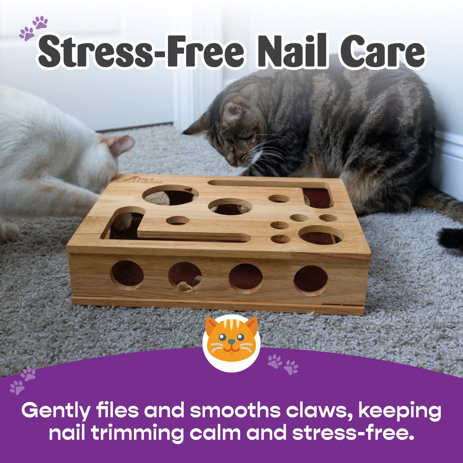*The Original* Cat Nail File Enrichment Box Fig & Friends