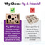 *The Original* Cat Nail File Enrichment Box Fig & Friends