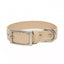 Champagne Fizz Vegan Leather Dog Collar Champagne Collar Aria the Fox