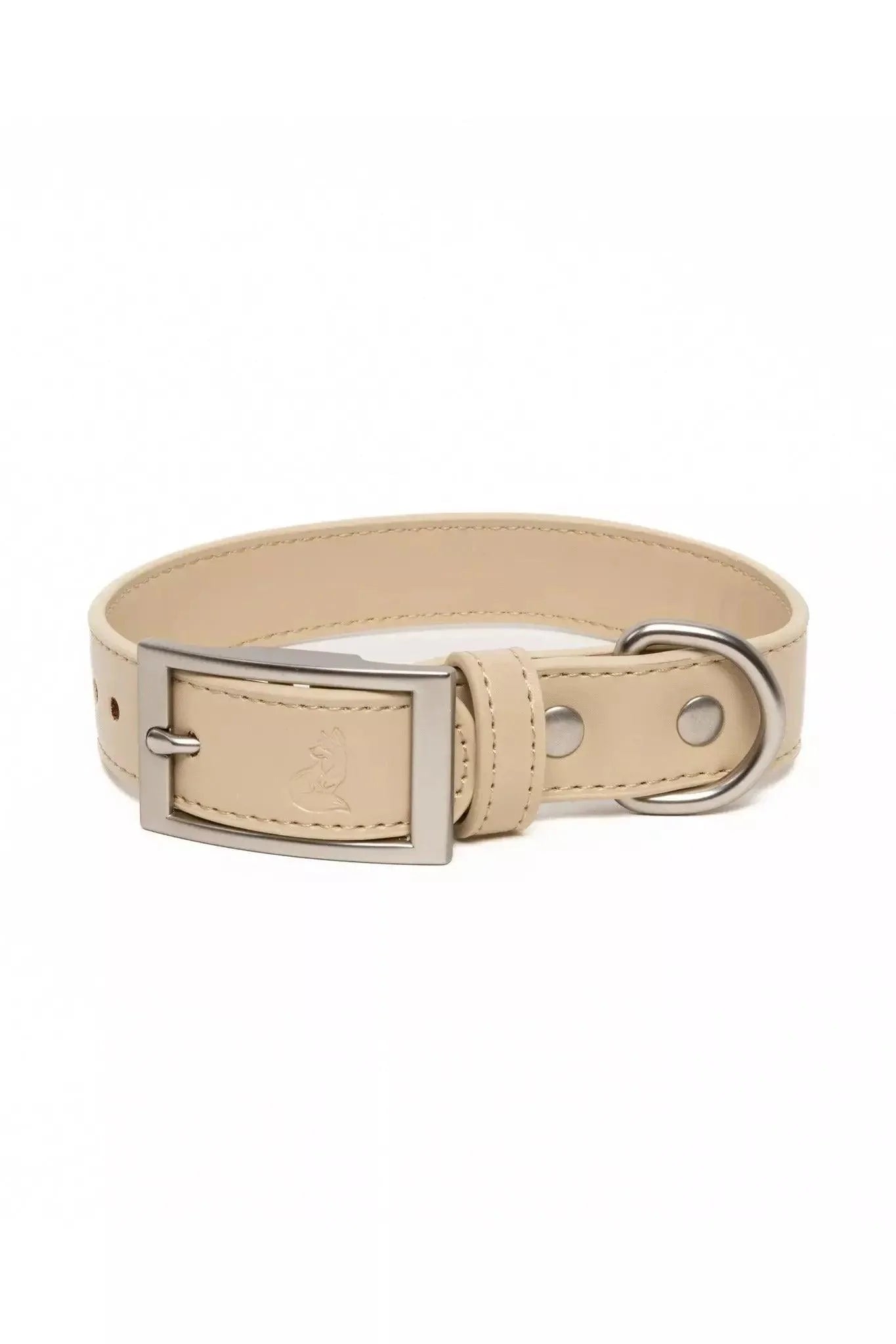 Champagne Fizz Vegan Leather Dog Collar Champagne Collar Aria the Fox