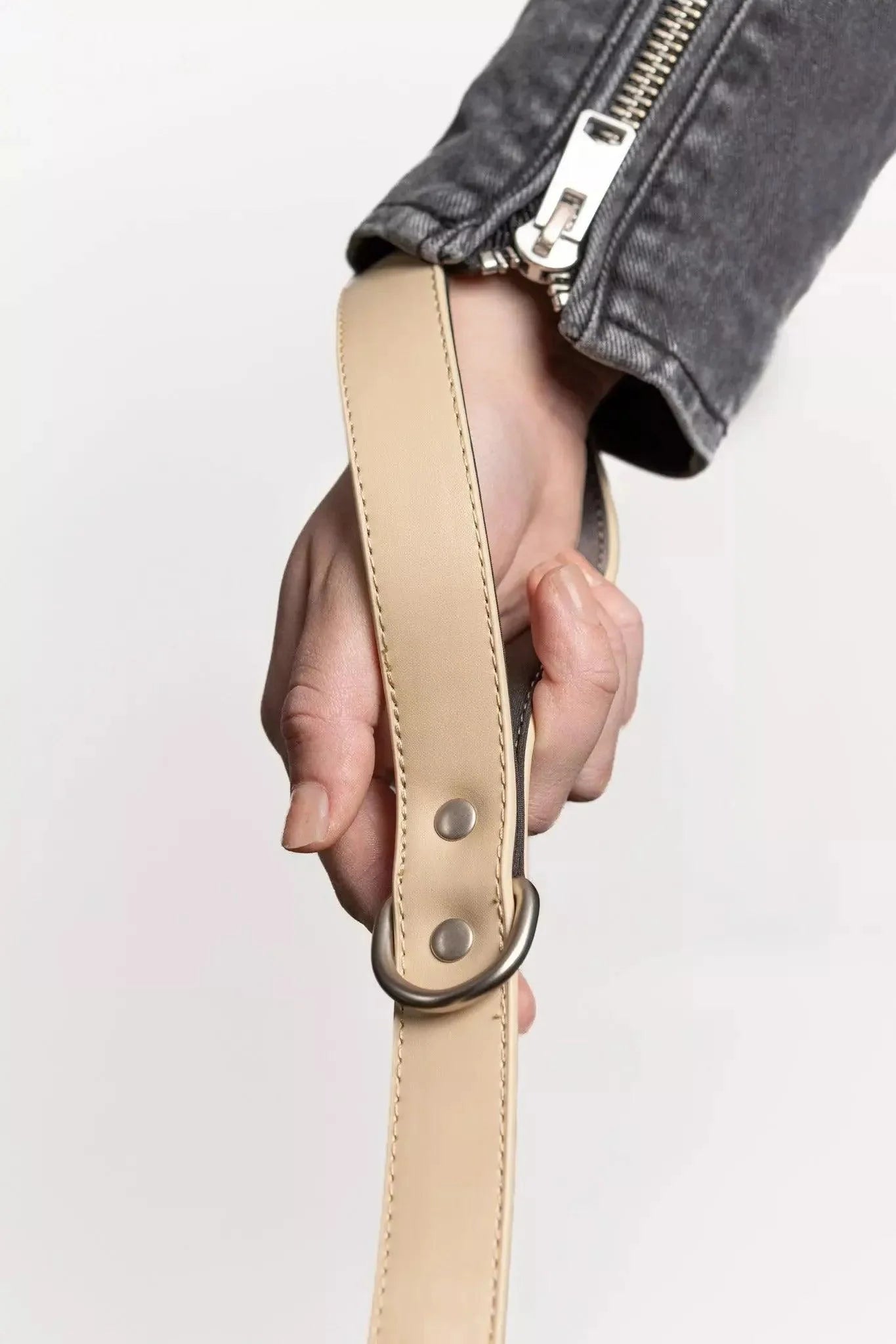 Champagne Fizz Vegan Leather Dog Leash Leash Aria the Fox
