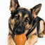 Football Dog Chew Toy & Treat Dispenser - USA Made | SodaPup Rubber Dog Toys SodaPup/True Dogs, LLC