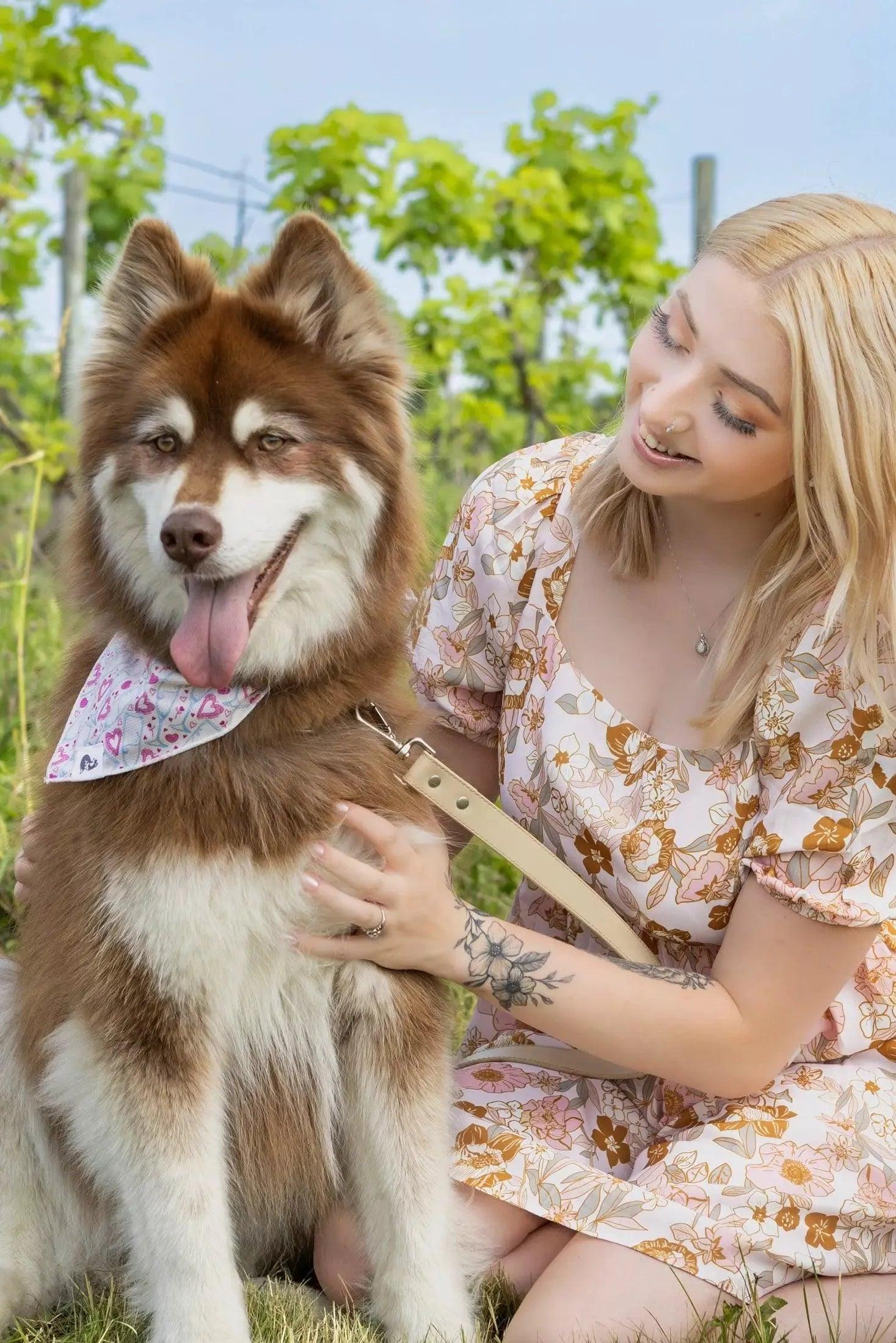Cheers to Love Dog Bandana bandana Aria the Fox