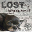 3 Old Friends Age Well Dog Aromatherapy DOG AROMATHERAPY The Blissful Dog