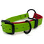 Christmas Collar by Chief Treats Black Extra-Small (12" or less) Chief Treats