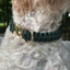 Cobra Braid in Emerald Green - Handmade Dog Collar Handmade Braided Collars Pawsh Pup Co.