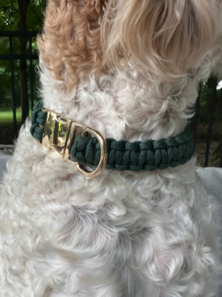Cobra Braid in Emerald Green - Handmade Dog Collar Handmade Braided Collars Pawsh Pup Co.