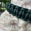 Cobra Braid in Emerald Green - Handmade Dog Collar Handmade Braided Collars Pawsh Pup Co.