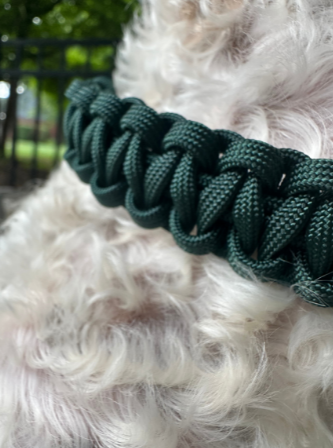 Cobra Braid in Emerald Green - Handmade Dog Collar Handmade Braided Collars Pawsh Pup Co.