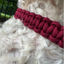 Cobra Braid in Maroon Handmade Dog Collar Handmade Braided Collars Pawsh Pup Co.