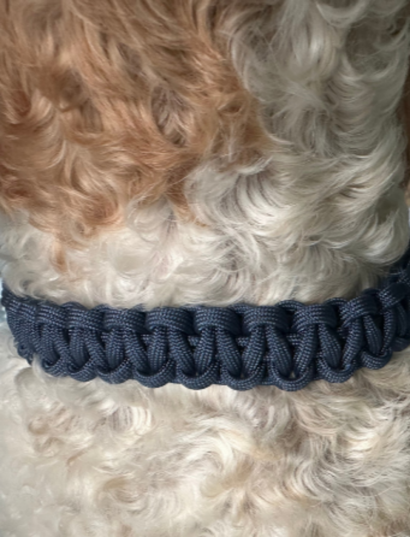 Cobra Braid in Navy Blue - Handmade Dog Collar Handmade Braided Collars Pawsh Pup Co.