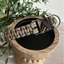Cobra Braid in Tan - Handmade Dog Collar Cobra Braid Handmade Braided Collars Pawsh Pup Co.