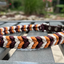 Coiled Charm Hand Braided Dog Collar in Mustard, Burgundy, & Cream Handmade Braided Collars Pawsh Pup Co.