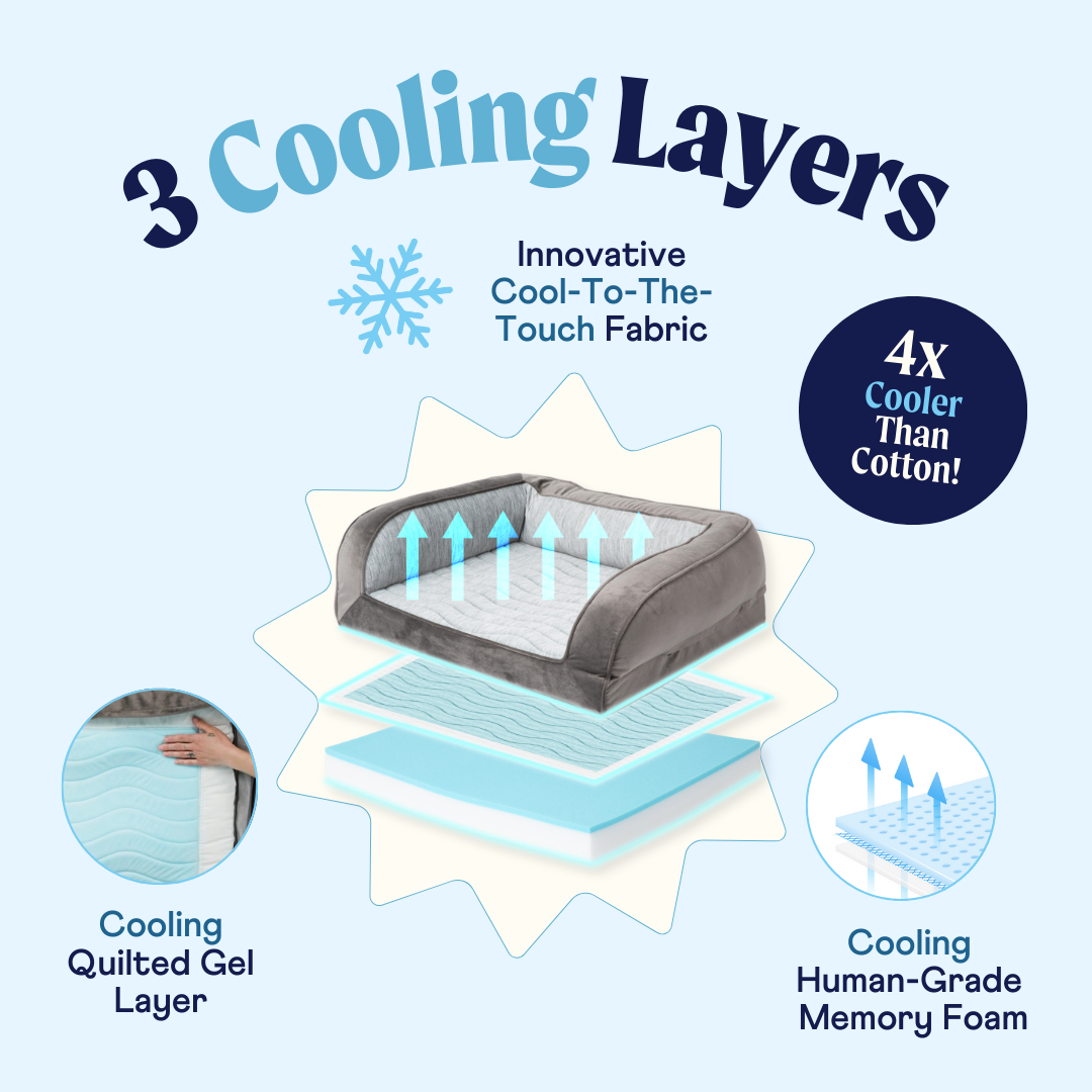 PupChill™ Cooling Bolster Dog Bed Paw