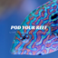 Tigriopus Californicus Reef Copepods Zooplankton Pod Your Reef