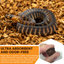 BabiChip Premium Small Sized Coconut Chips; Ready to Use Substrate ReptiChip LLC