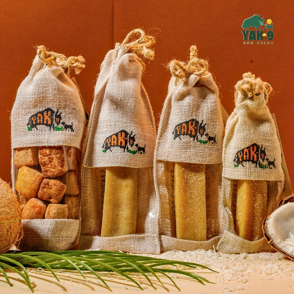 Coconut Cheese Chews for Dogs COCONUT YAK CHEWS Yak9 Chews