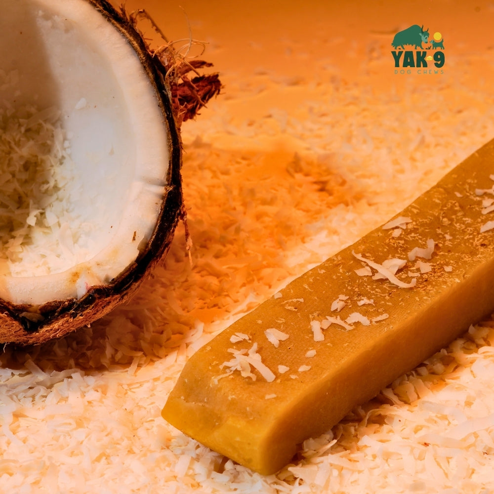 Coconut Cheese Chews for Dogs COCONUT YAK CHEWS Yak9 Chews
