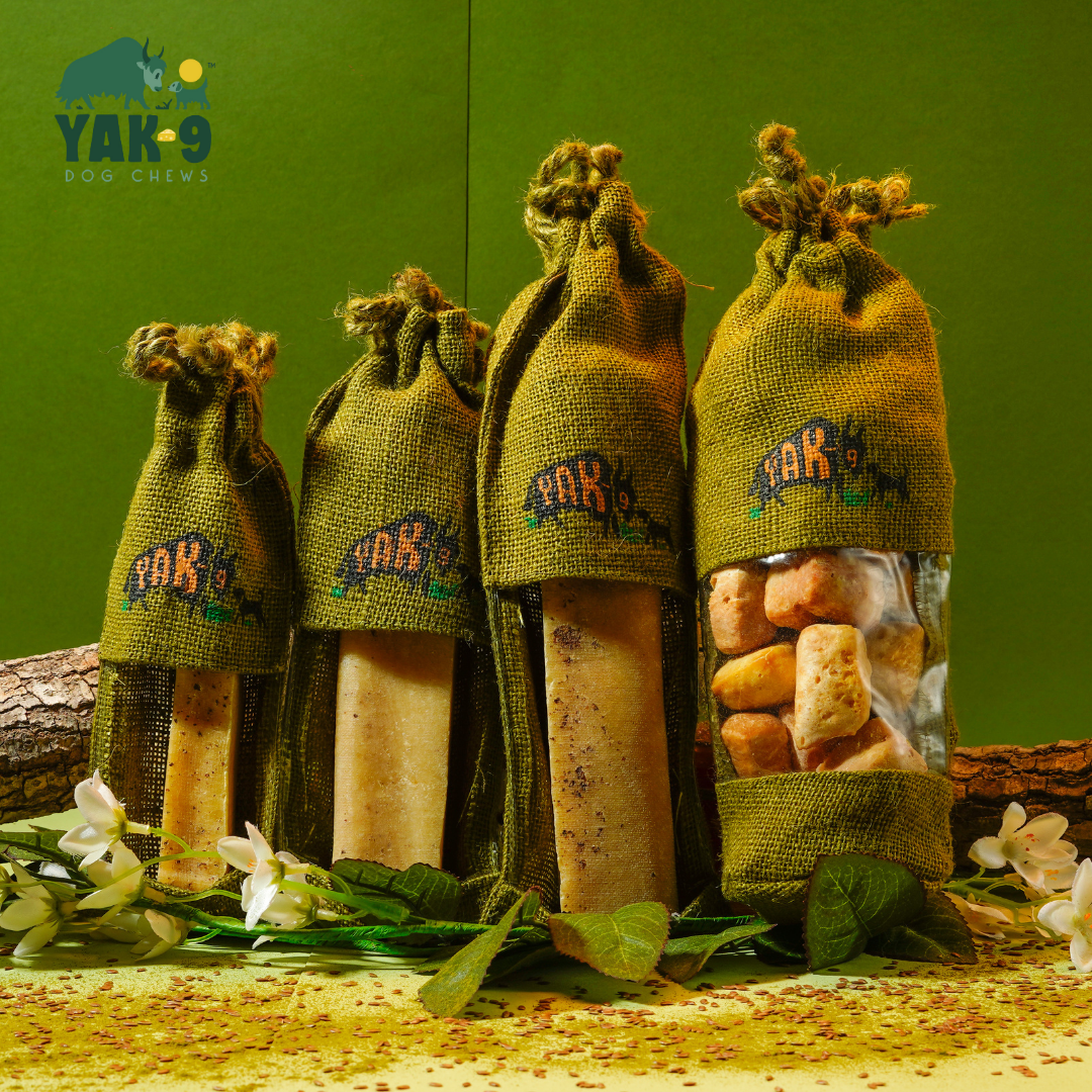 Flaxseed & Mint Cheese Chews for Dogs FLAXSEED YAK CHEWS Yak9 Chews