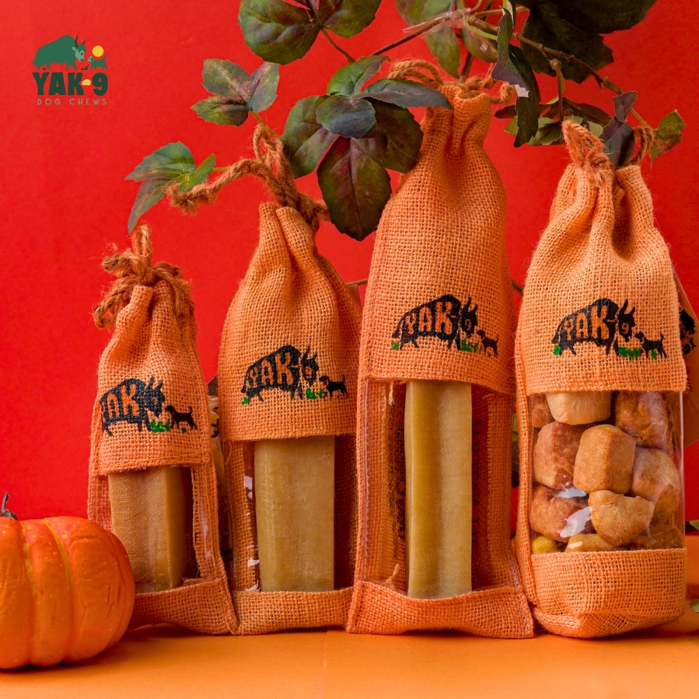 Pumpkin Cheese Chews for Dogs PUMPKIN YAK CHEWS Yak9 Chews