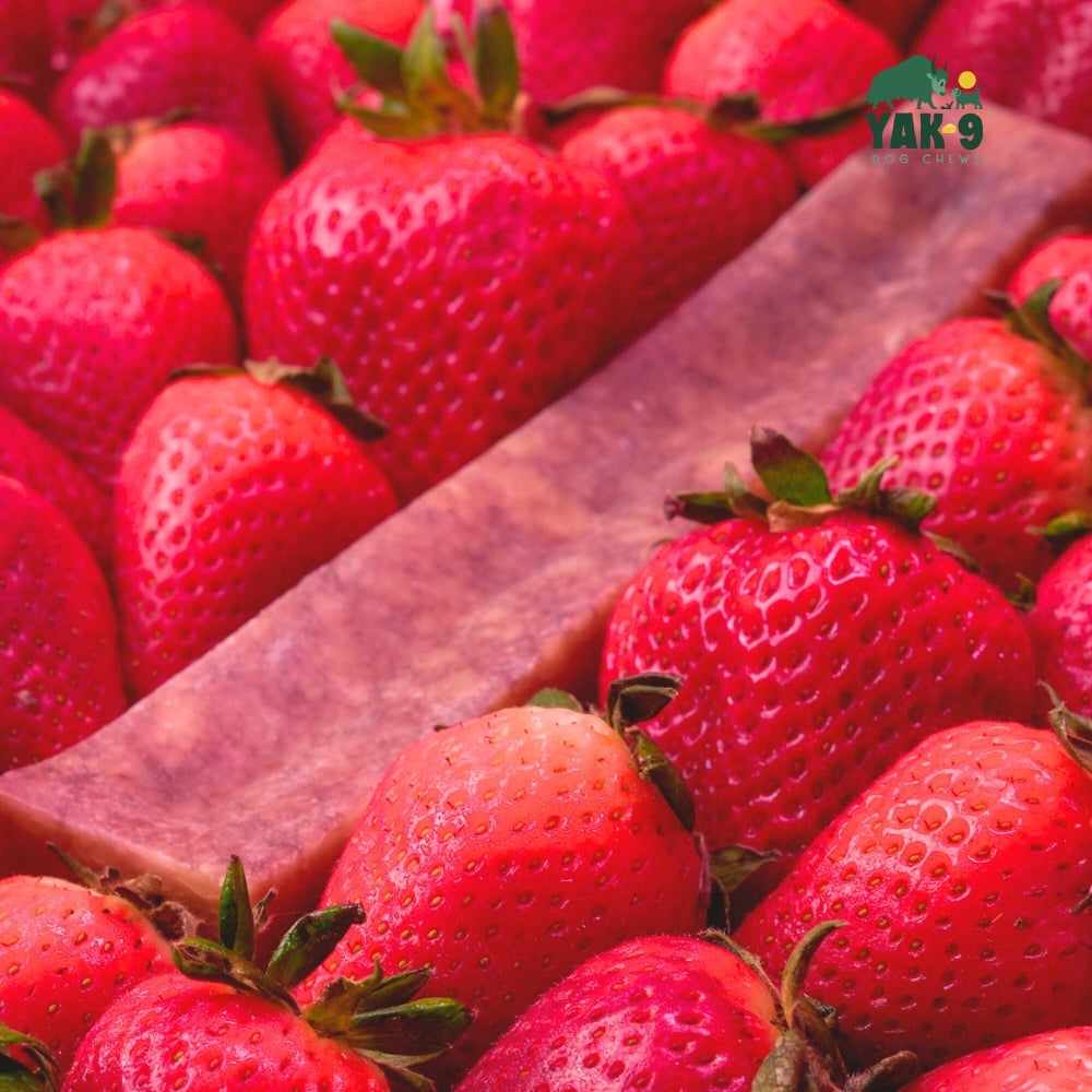 Strawberry Cheese Chews for Dogs STRAWBERRY YAK CHEESE CHEWS Yak9 Chews