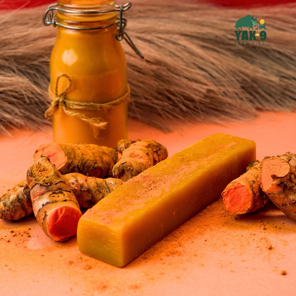 Turmeric Cheese Chews for Dogs TURMERIC YAK CHEWS Yak9 Chews