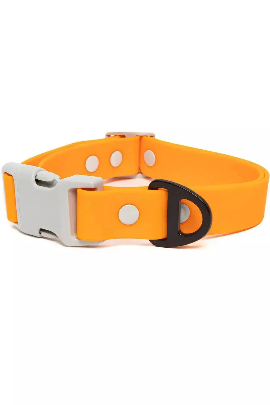 Crimson Glow Waterproof Dog Collar Bright Orange Gray Collar Aria the Fox