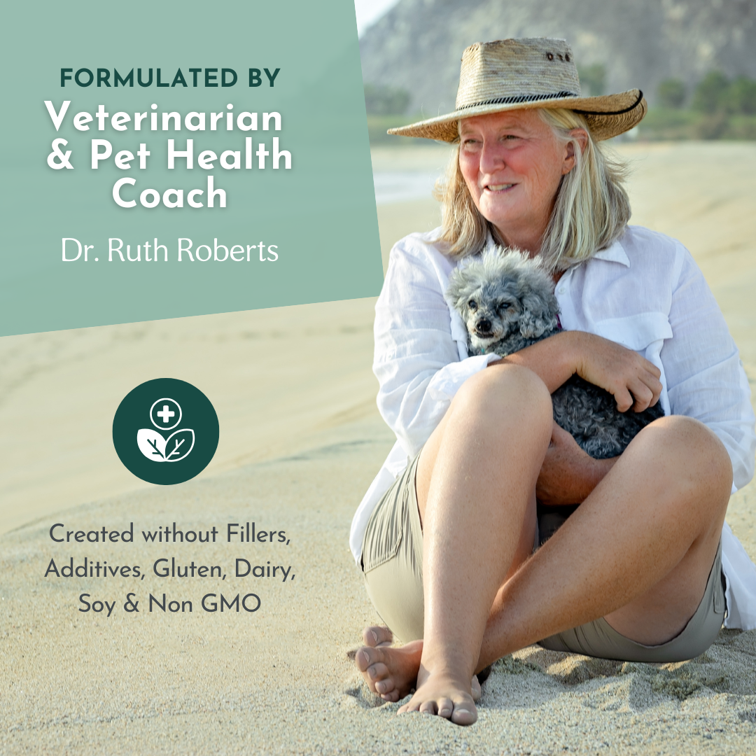 The Original Crockpet Diet™ Ebook and Recipes DIY Holistic Health Course Dr. Ruth Roberts