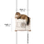Enclosed Cat Bed - Cat Wall Cubby Catastrophic Creations