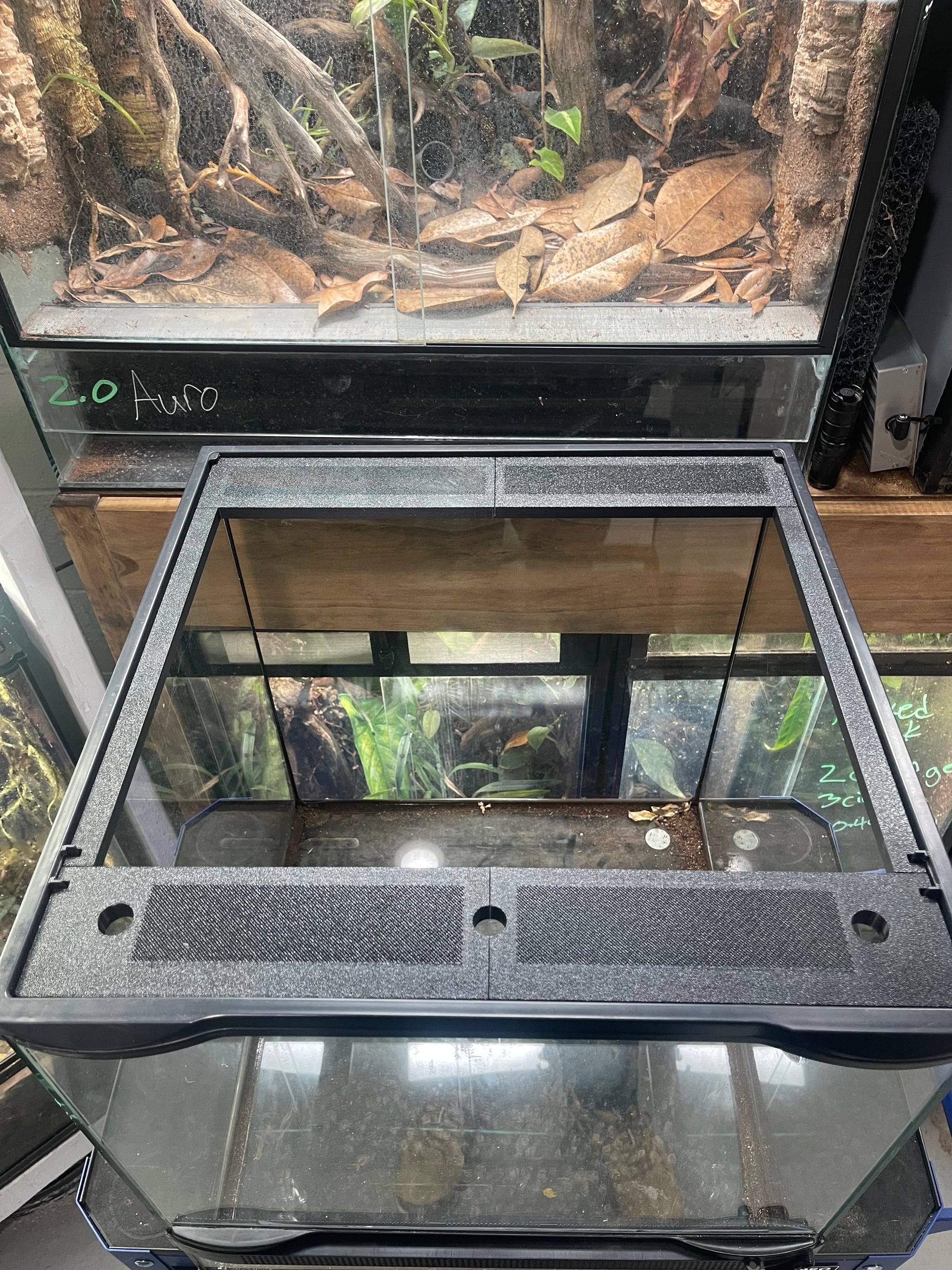 Custom Replacement Top for 18" Exo Terra Terrariums – Humidity Retaining with Fly-Proof Ventilation Thrive Ecosystems