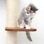 The Deluxe Cat Fort - Modern Cat Condo Onyx Bamboo Charcoal Gray Canvas Pole and Leaf Shelf Cat Condo Catastrophic Creations