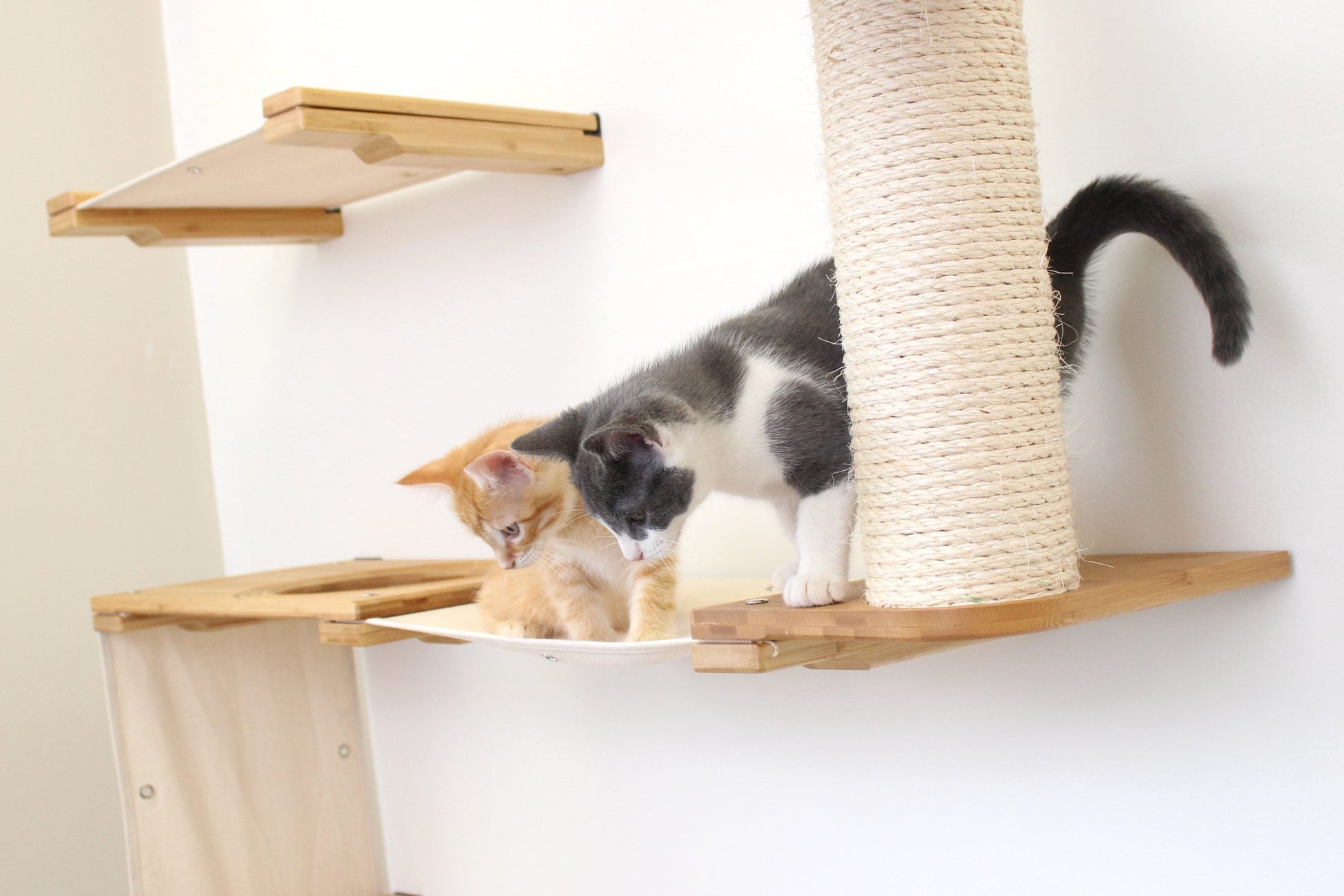 The Deluxe Cat Fort - Modern Cat Condo Cat Condo Catastrophic Creations
