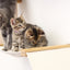 The Deluxe Cat Fort - Modern Cat Condo Charcoal Gray Canvas None Cat Condo Catastrophic Creations