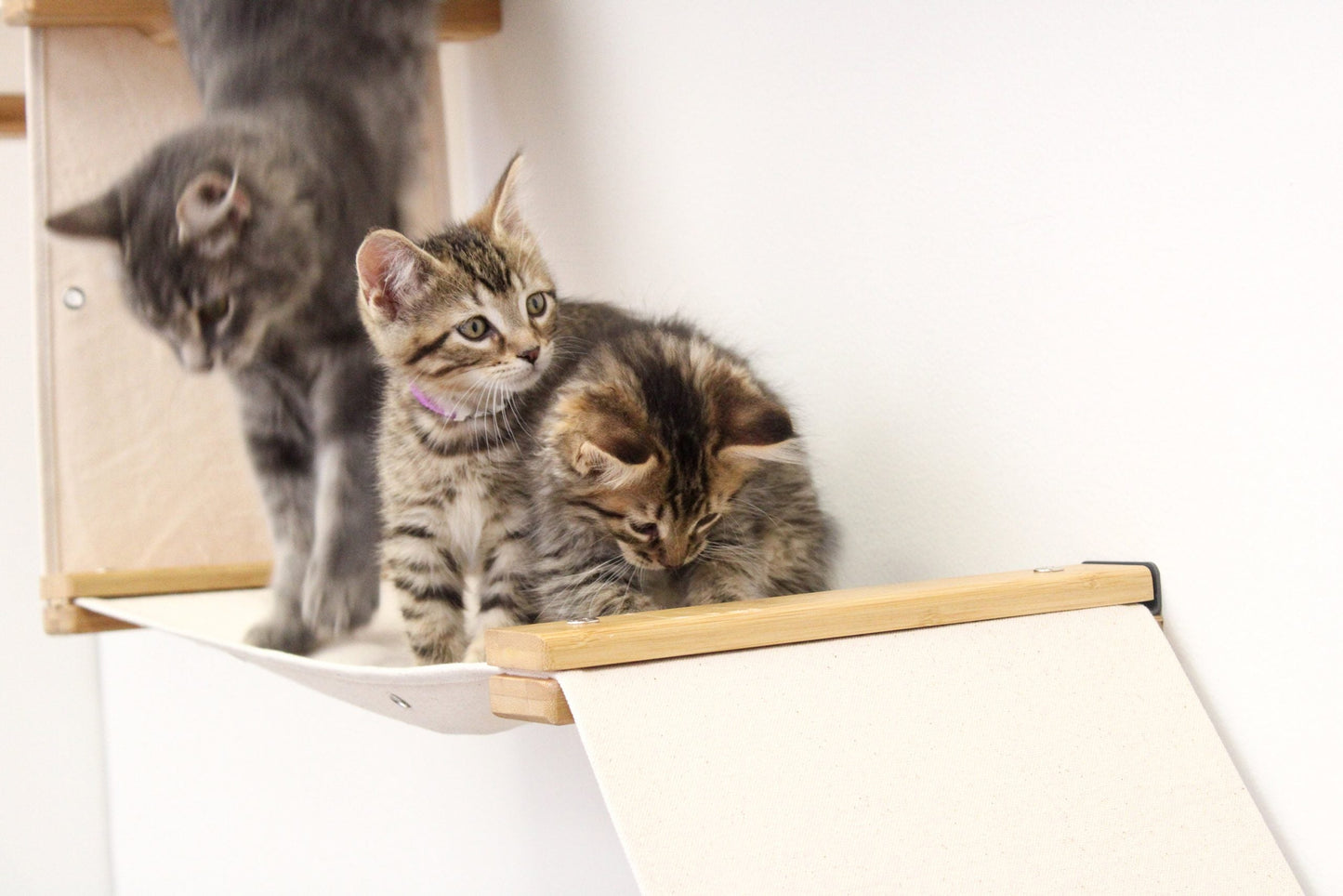 The Deluxe Cat Fort - Modern Cat Condo Charcoal Gray Canvas None Cat Condo Catastrophic Creations